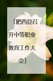 肥西县召开中等职业教育工作大会