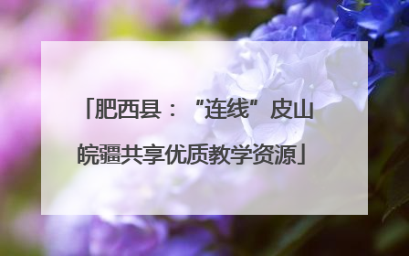 肥西县：“连线”皮山 皖疆共享优质教学资源