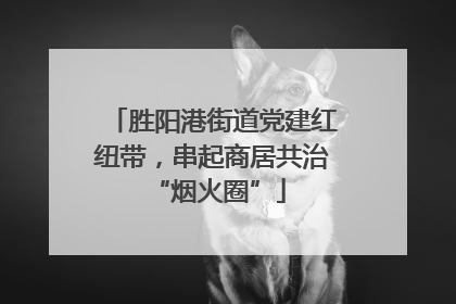 胜阳港街道党建红纽带，串起商居共治 “烟火圈”