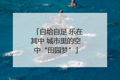 自给自足 乐在其中 城市里的空中“田园梦”
