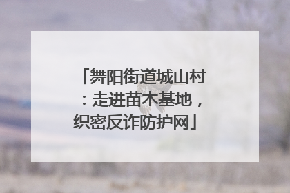 舞阳街道城山村：走进苗木基地，织密反诈防护网