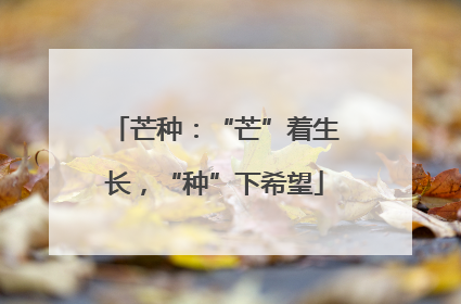 芒种：“芒”着生长，“种”下希望