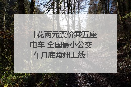 花两元票价乘五座电车 全国最小公交车月底常州上线