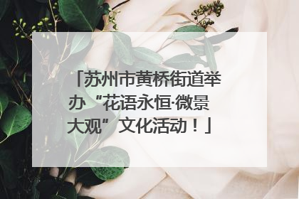 苏州市黄桥街道举办“花语永恒·微景大观”文化活动！