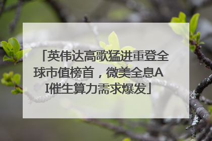 英伟达高歌猛进重登全球市值榜首，微美全息AI催生算力需求爆发