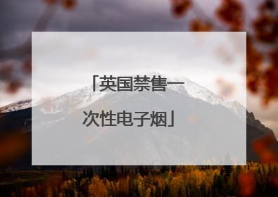英国禁售一次性电子烟