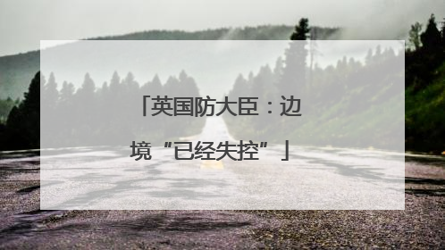英国防大臣：边境“已经失控”