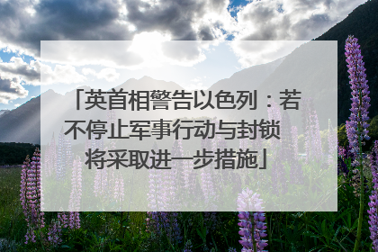 英首相警告以色列：若不停止军事行动与封锁 将采取进一步措施