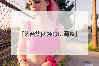 茅台集团领导层调整