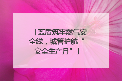 蓝盾筑牢燃气安全线，城管护航“安全生产月”