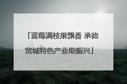 蓝莓满枝果飘香 承德宽城特色产业助振兴