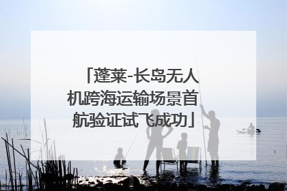 蓬莱-长岛无人机跨海运输场景首航验证试飞成功