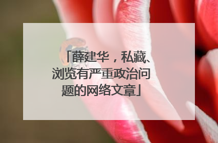 薛建华，私藏、浏览有严重政治问题的网络文章