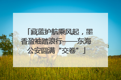 藏蓝护航乘风起，墨香盈袖踏浪行——东海公安圆满“交卷”