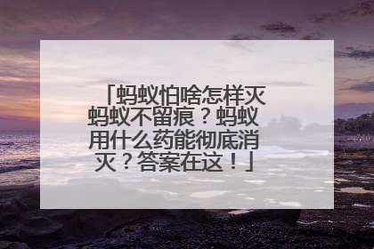 蚂蚁怕啥怎样灭蚂蚁不留痕？蚂蚁用什么药能彻底消灭？答案在这！