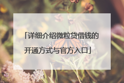 详细介绍微粒贷借钱的开通方式与官方入口
