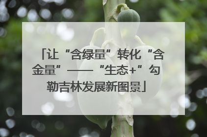 让“含绿量”转化“含金量”——“生态+”勾勒吉林发展新图景