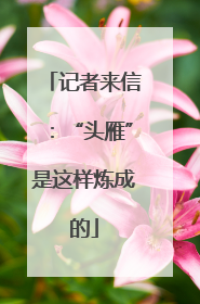 记者来信：“头雁”是这样炼成的