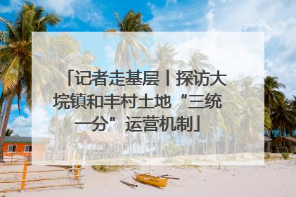 记者走基层丨探访大垸镇和丰村土地“三统一分”运营机制
