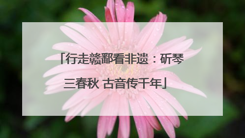 行走赣鄱看非遗：斫琴三春秋 古音传千年