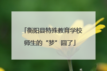 衡阳县特殊教育学校师生的“梦”圆了