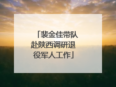 裴金佳带队赴陕西调研退役军人工作