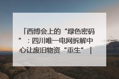 西博会上的“绿色密码”：四川唯一电网拆解中心让废旧物资“重生”｜西博寻“新”记