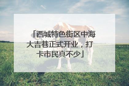 西城特色街区中海大吉巷正式开业，打卡市民真不少