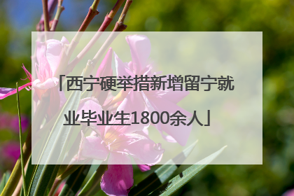 西宁硬举措新增留宁就业毕业生1800余人