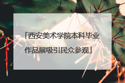 西安美术学院本科毕业作品展吸引民众参观