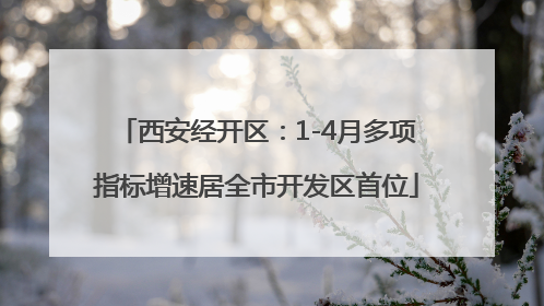 西安经开区：1-4月多项指标增速居全市开发区首位