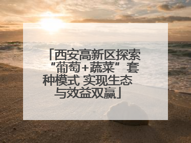 西安高新区探索“葡萄+蔬菜”套种模式 实现生态与效益双赢