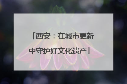 西安：在城市更新中守护好文化遗产
