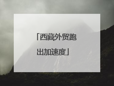 西藏外贸跑出加速度