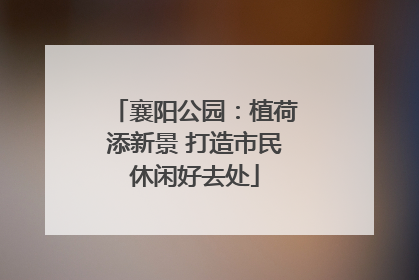 襄阳公园：植荷添新景 打造市民休闲好去处