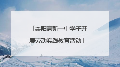 襄阳高新一中学子开展劳动实践教育活动