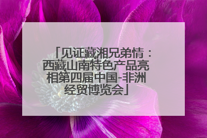 见证藏湘兄弟情：西藏山南特色产品亮相第四届中国-非洲经贸博览会