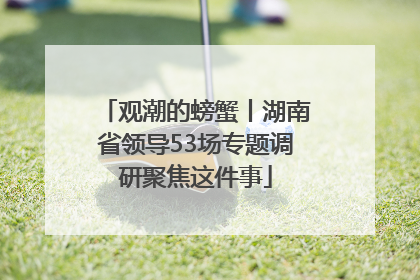 观潮的螃蟹丨湖南省领导53场专题调研聚焦这件事