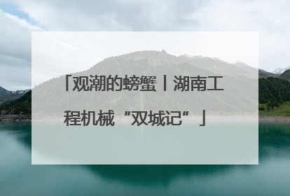 观潮的螃蟹丨湖南工程机械“双城记”