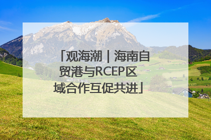观海潮｜海南自贸港与RCEP区域合作互促共进