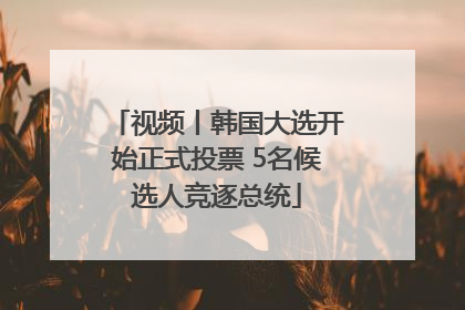 视频丨韩国大选开始正式投票 5名候选人竞逐总统