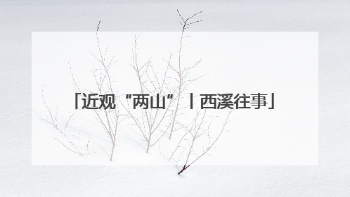 近观“两山”丨西溪往事