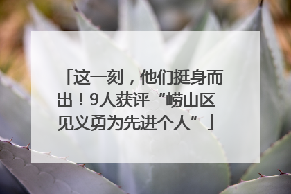 这一刻，他们挺身而出！9人获评“崂山区见义勇为先进个人”