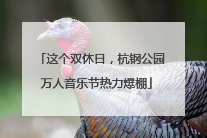 这个双休日，杭钢公园万人音乐节热力爆棚