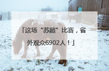 这场“苏超”比赛，省外观众6902人！