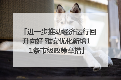 进一步推动经济运行回升向好 雅安优化新增11条市级政策举措