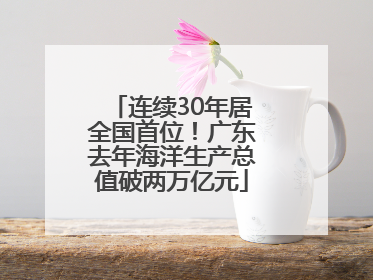 连续30年居全国首位！广东去年海洋生产总值破两万亿元