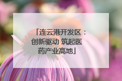 连云港开发区：创新驱动 筑起医药产业高地