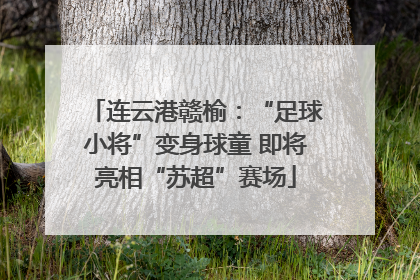 连云港赣榆：“足球小将”变身球童 即将亮相“苏超”赛场