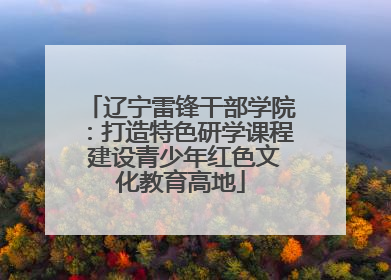 辽宁雷锋干部学院：打造特色研学课程 建设青少年红色文化教育高地
